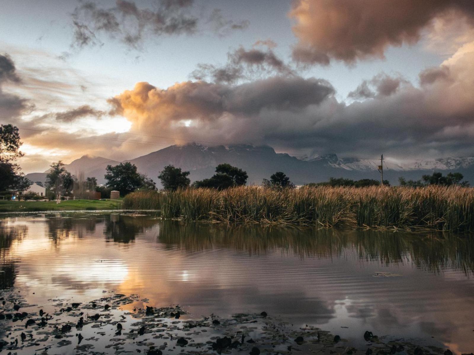 فندق Duikersdrift Winelands Country Escape تولباغ المظهر الخارجي الصورة