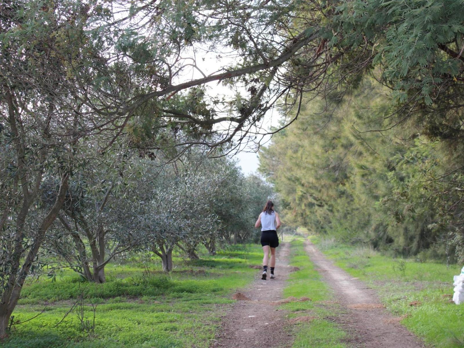 فندق Duikersdrift Winelands Country Escape تولباغ المظهر الخارجي الصورة