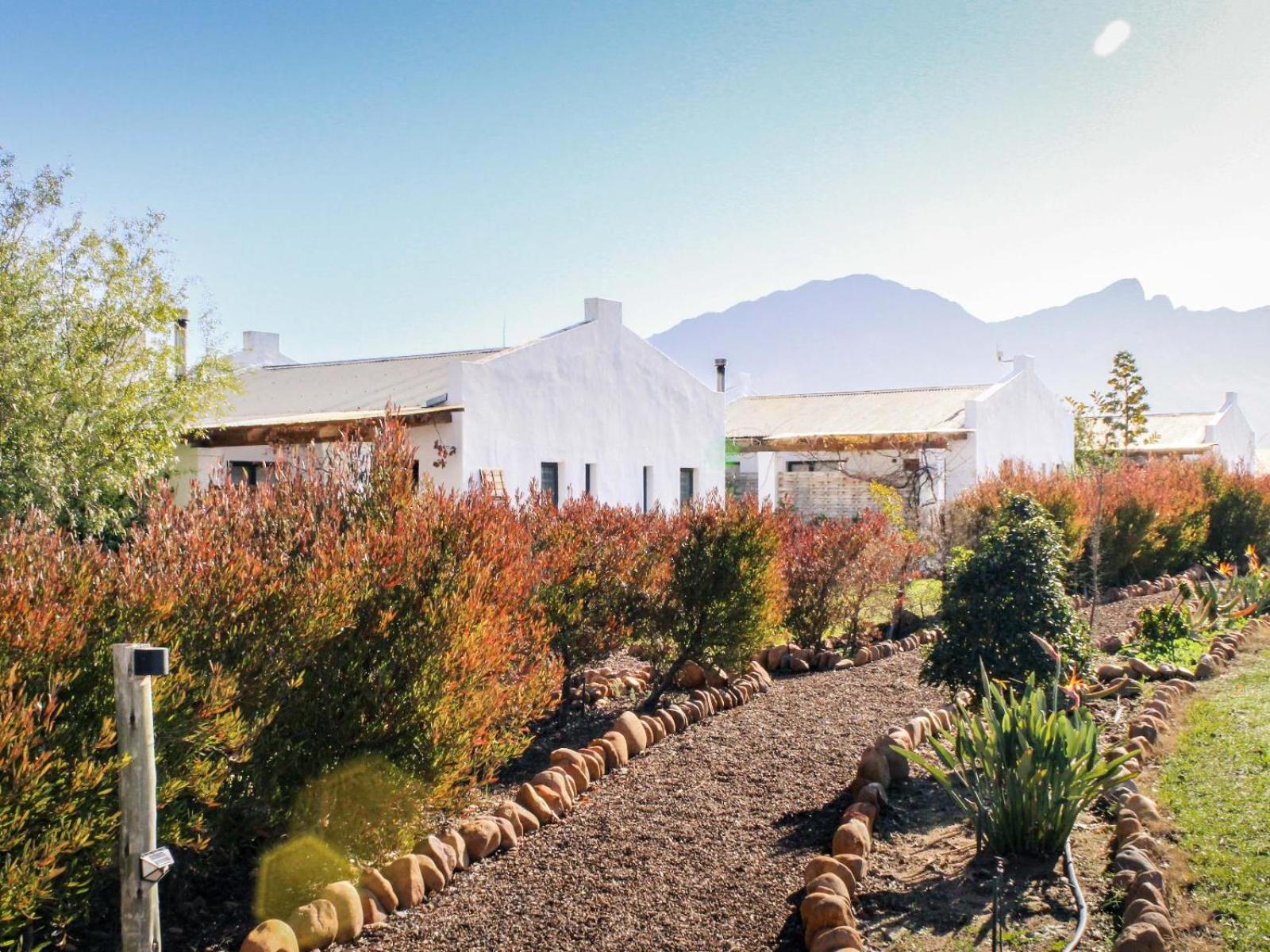 فندق Duikersdrift Winelands Country Escape تولباغ المظهر الخارجي الصورة