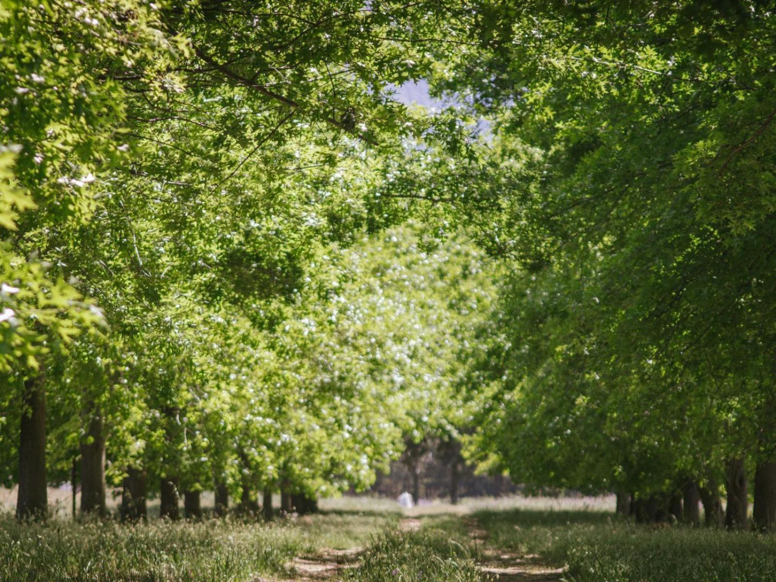 فندق Duikersdrift Winelands Country Escape تولباغ المظهر الخارجي الصورة
