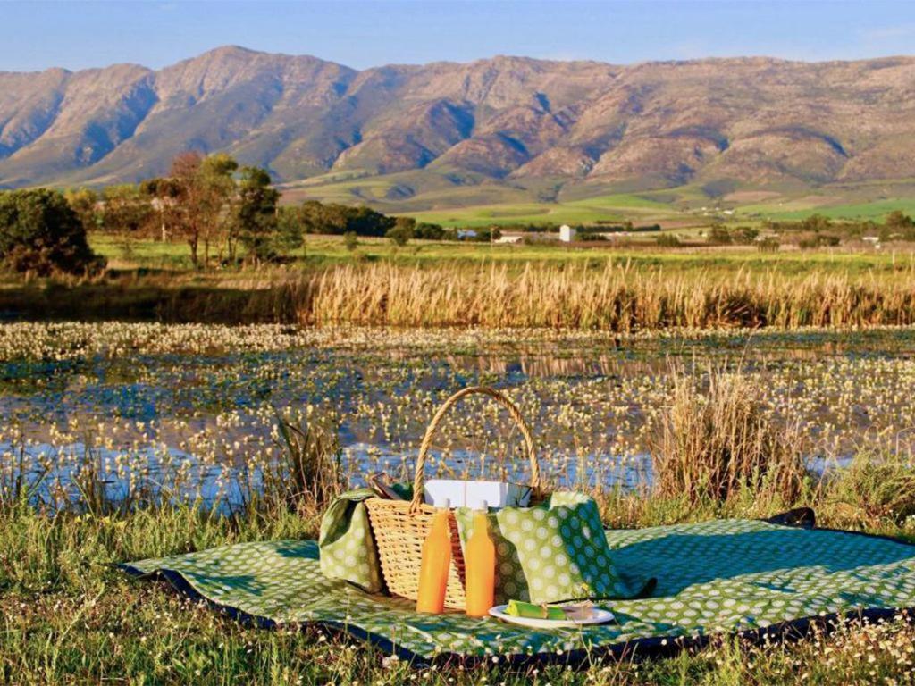 فندق Duikersdrift Winelands Country Escape تولباغ المظهر الخارجي الصورة
