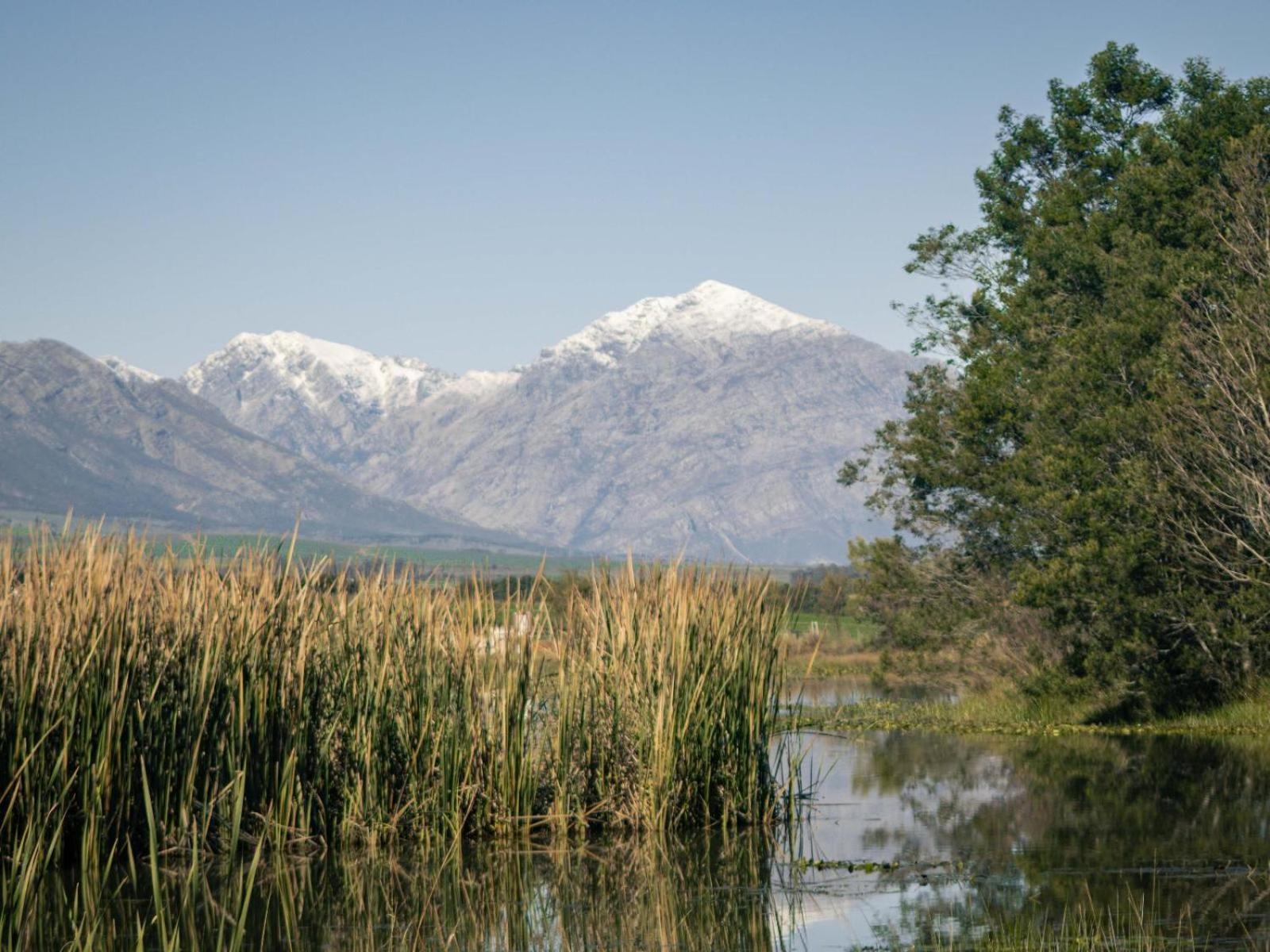 فندق Duikersdrift Winelands Country Escape تولباغ المظهر الخارجي الصورة