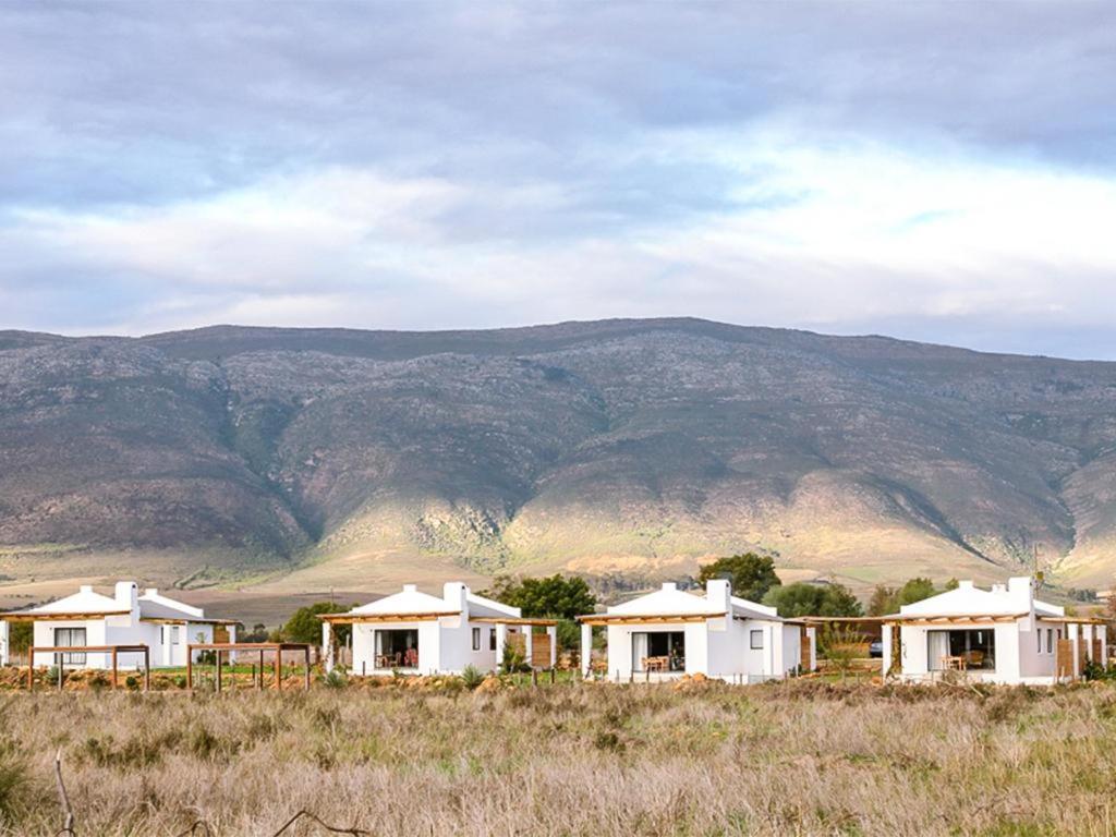 فندق Duikersdrift Winelands Country Escape تولباغ المظهر الخارجي الصورة